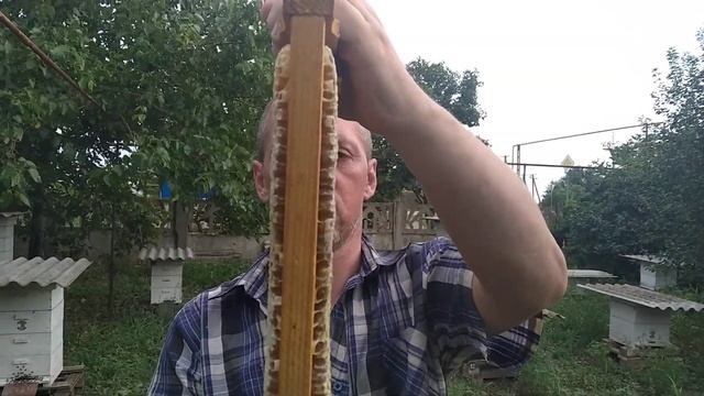 Так сколько же весит полномедная рамка северо-крымского улья? смотреть онлайн