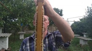 Так сколько же весит полномедная рамка северо-крымского улья?