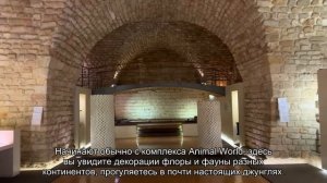 Достопримечательности Шанхая: Музей науки и техники 2020 Отзывы туристов и форум Ездили-Знаем! *