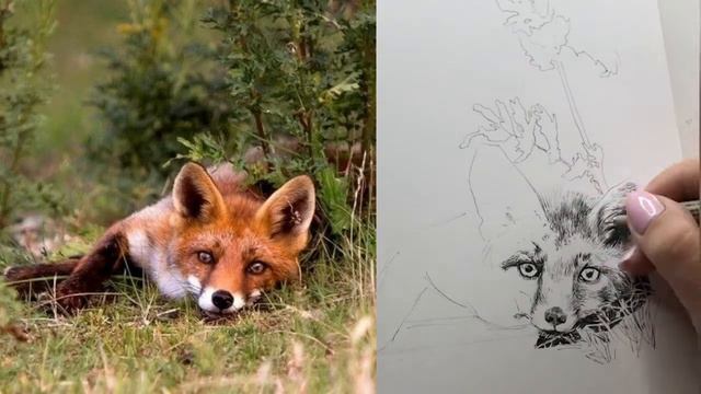 Превью к курсу «Скетчинг» смотреть онлайн