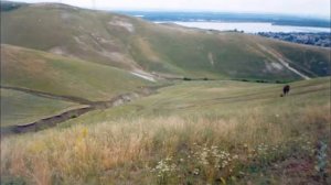 Любимый город "Вольск"