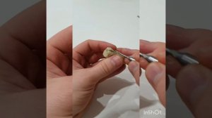 Моделирование 45 зуба из скульптурного пластилина | Modeling 45 tооth from sculpted plasticine