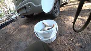 Рыбалка и отдых на ОВХ. База Бухта. Бурмистрово. Обское море.