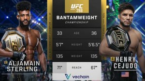 Алджамейн Стерлинг — Генри Сехудо | Бой на UFC 288