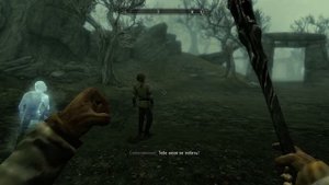 SKYRIM : Необычный квест ''Безумный ум'' и Посох ''Ваббаджек''