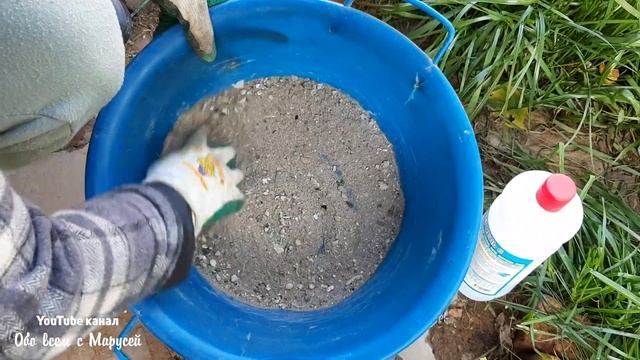 МОИ СЕКРЕТЫ ЧЕСНОК КРУПНЫЙ УРОЖАЙНЫЙ СОРТ/КОСТИ КАК УДОБРЕНИЕ СВОИМИ РУКАМИ