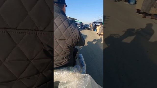 Трицикл муравей электроскутер электровелосипед мопед 87087725175 ватсап для заказа смотреть онлайн