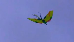 ИСПАНИЯ - ПЛЯЖ МАЛГРАТ ДЕ МАР. КОСТА БРАВА. КОСТА МЕРЕСМЕ