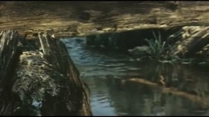 Из к.ф. "Соната над озером"красивая игра актеров