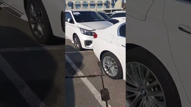 Забираю Киа Карнивал 2019г с таможни Владивостока