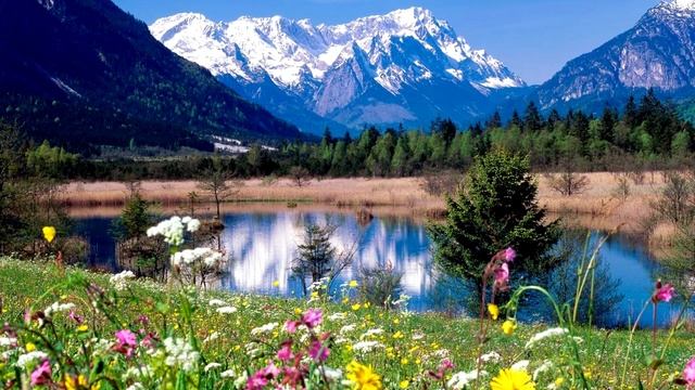 Билл Гейтс предсказал надвигающуюся глобальную катастрофу. Теория заговора смотреть онлайн