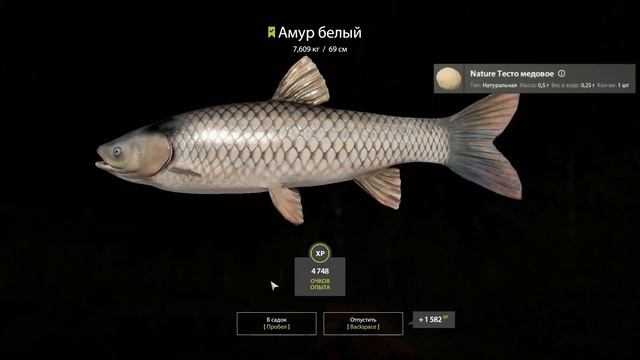 Русская рыбалка 4 (РР4) оз. Старый Острог ЛИНЬ, КАРП, АМУР смотреть онлайн