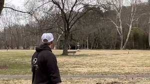 Paul McBeth Anax Review | This Disc is Nice!