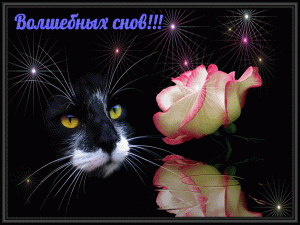 Добрый вечер ! Желаю доброго вечера!  Открытка с добрым вечером