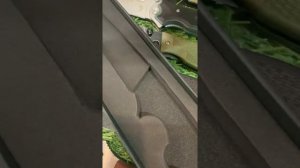 Новинка от НОКС КУГУАР в титане.