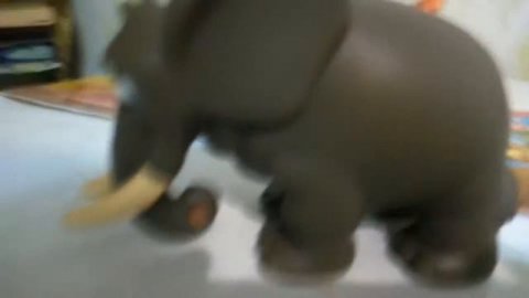 Журналы животные дикой природы 4 выпуска