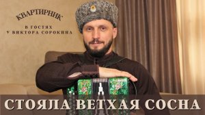 Виктор Сорокин | Стояла ветхая сосна