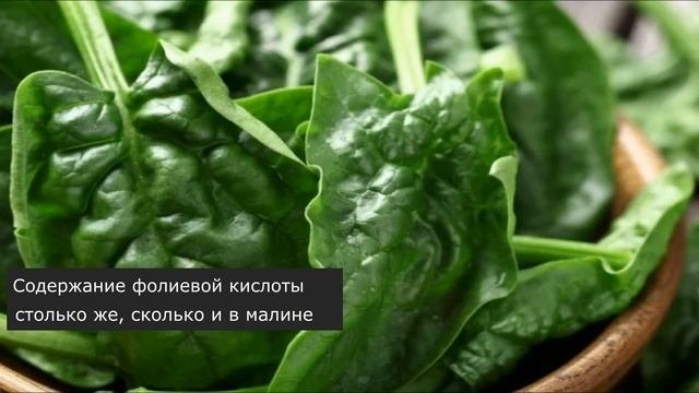 Шпинат