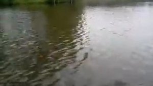 Лодочный электромотор WaterSnake FWT30TH