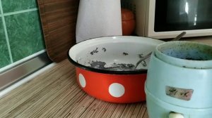Готовим сладкий рулет с маком