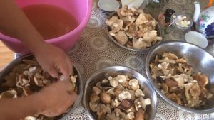 Как подготовить полевые грибы к закатке