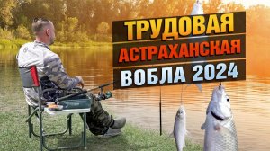 Где Вобла?! Рыбалка в Астраханской области 2024