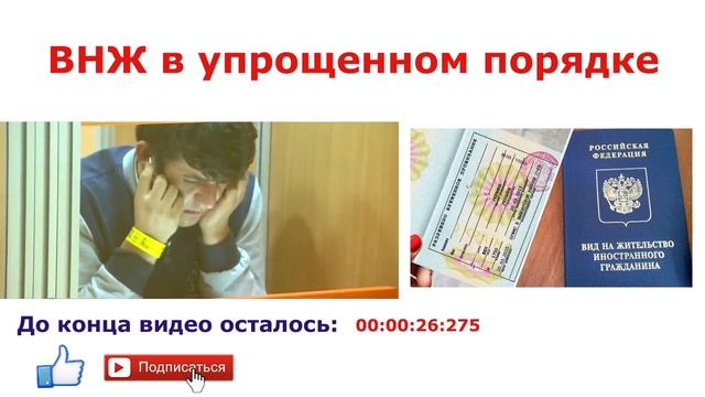 ВНЖ, ГРАЖДАНСТВО РФ. ОСНОВНЫЕ СРОКИ. ФМС. Паспорт РФ