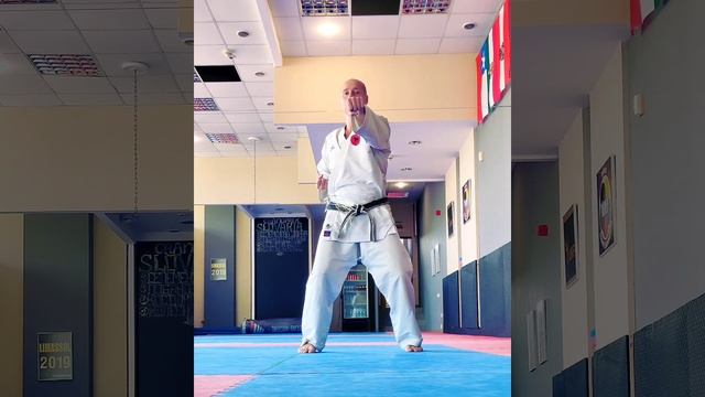 Каратэ, упражнения для тренировки удара чоку-цуки/Karate, choku-tsuki training exercises смотреть онлайн
