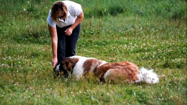 Июль 2014 смотреть онлайн