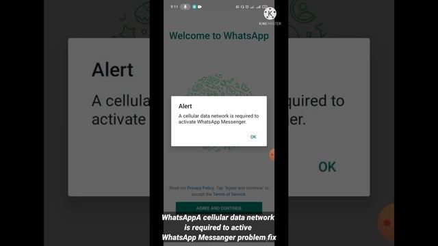 WhatsApp A cellular data network is required to Active WhatsApp Messanger Problem Solved 2022 смотреть онлайн