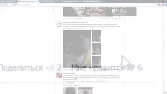 Социальный ролик "Лайк" смотреть онлайн