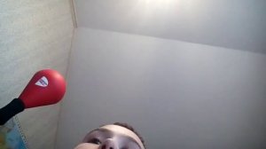 Что будет если долго смотреть кошке в глаза