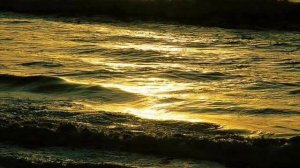 Прошу всех встать... song by Cerik