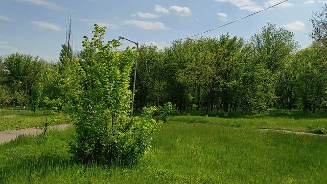 Городской парк