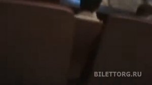 МТЮЗ схема зала, партер обзор зала