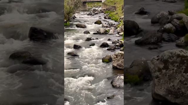 Georgia, Dmanisi, Dalilari village. Gurcistan, Dmanisi rayonu,Deller kendi,Грузия Дманиси