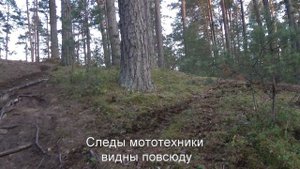 Дюны. Горовалдайское озеро, Лен.область
