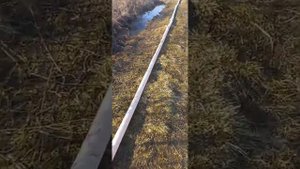 Откачка воды с участка дренажным насосом.