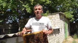 Что такое семья трутовка ? Затрутовала матка или пчелы трутовки.