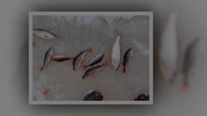 Река Ендырь, ХМАО