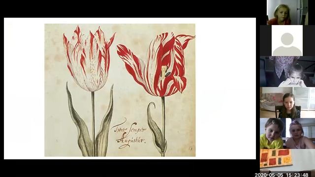 Всё дело в луковке! Бесплатное занятие из серии "Расскажи мне про... кардинала" смотреть онлайн