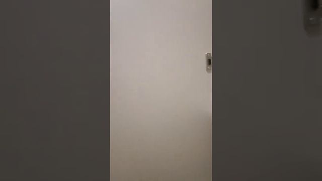 Vstroy-mebel.ru Распашной шкаф с прихожей в длинный коридор. смотреть онлайн