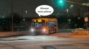 Рождество в Канаде. Как мы его проверили. Торонто Онтарио Канада. Канал Other People.