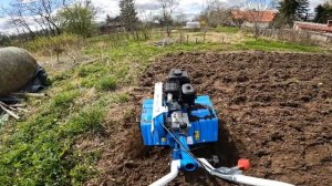 Культивирую огород мотоблоком Нева МБ-2.