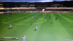 Моё лицо  (Fifa 14)