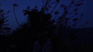 Тиха украинская ночь