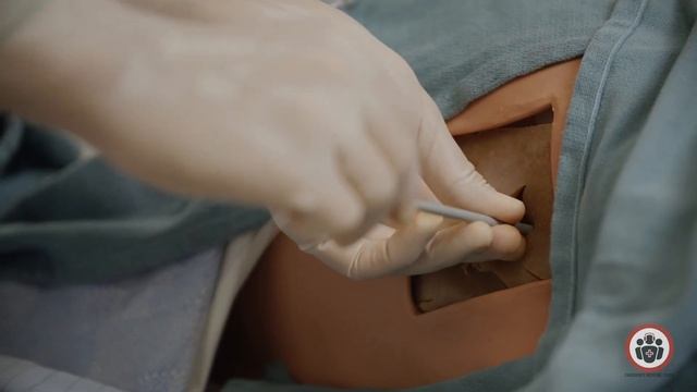 Pigtail catheter placement for pneumothorax - from EM Cases Summit смотреть онлайн