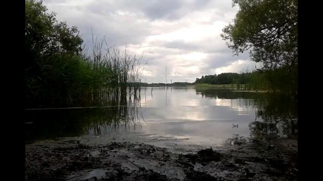 Муромское,озеро,Шатура