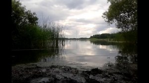 Муромское,озеро,Шатура