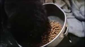 И это всё мое!